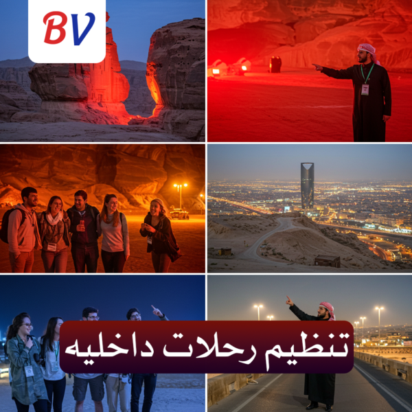 رحلات داخلية