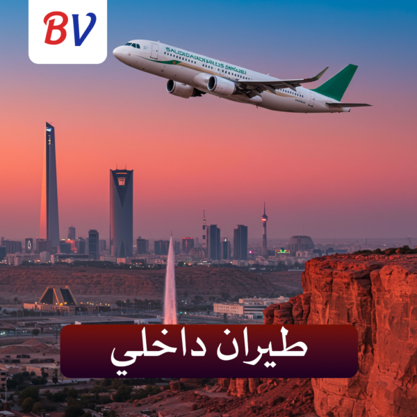 طيران داخلى